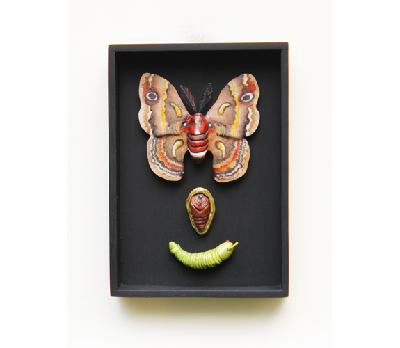 "Crecopia Trio" - Loralin Toney